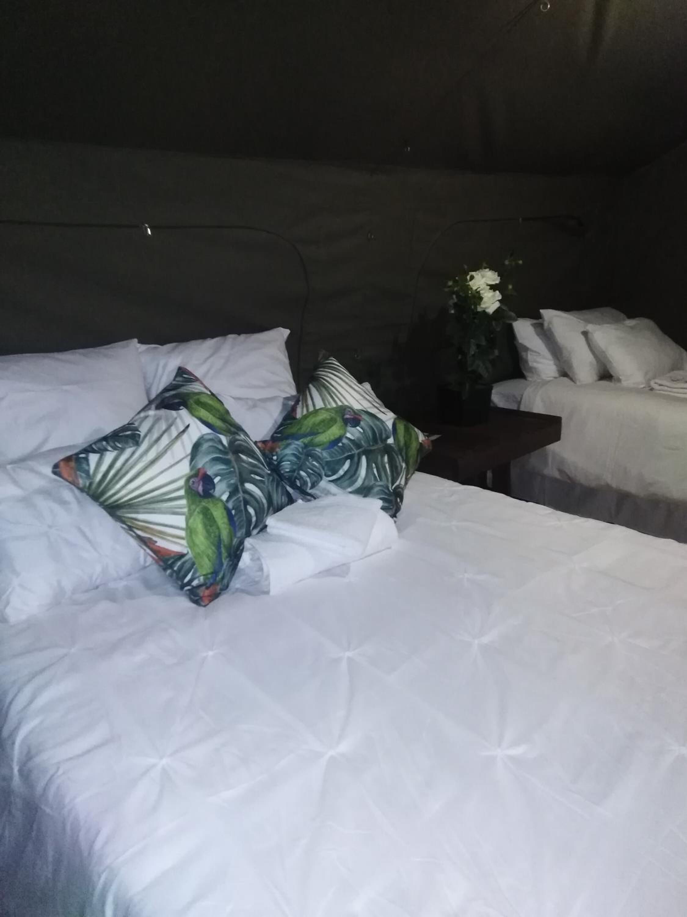 Υποαλλεργικά κλινοσκεπάσματα, μίνι μπαρ, σίδερο/σιδερώστρα 