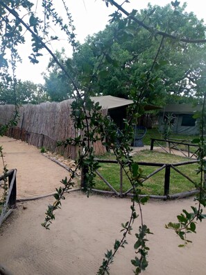 Enceinte de l’hébergement