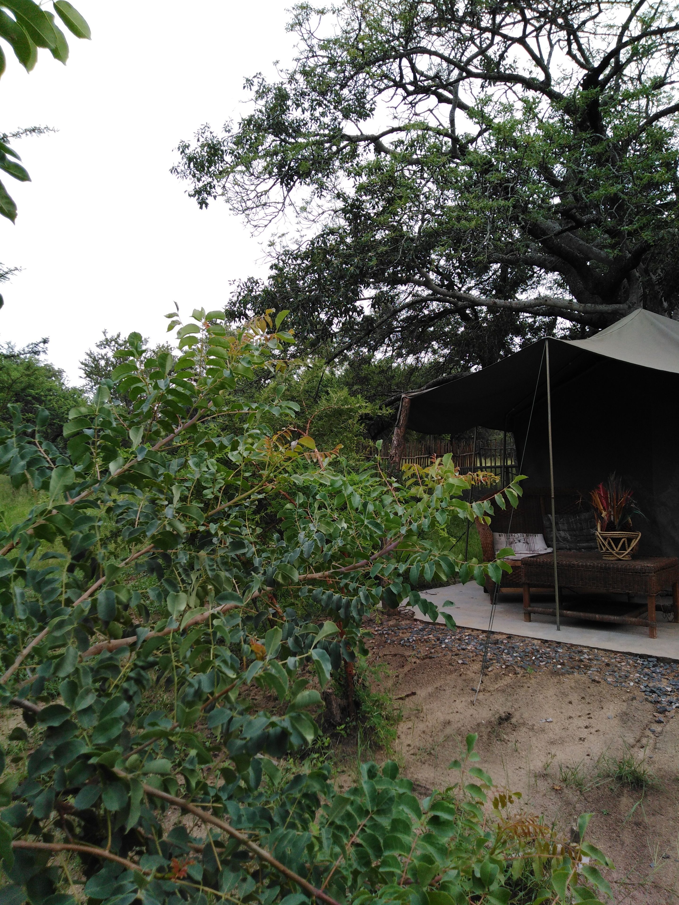 Eenvoudige tent, 1 queensize bed, niet-roken, gedeelde badkamer | Hypoallergeen beddengoed, een minibar, een strijkplank/strijkijzer