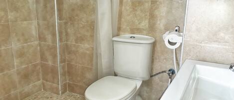 A bathroom with a toilet, a shower, and a sink.