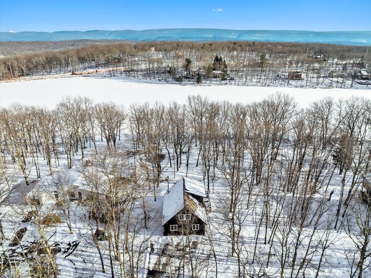 Paesaggio innevato con una casa circondata da alberi.