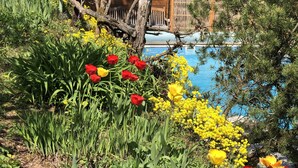 A garden with various flowers and a wooden bench. - Ferienwohnungen Ries (Eusserthal)