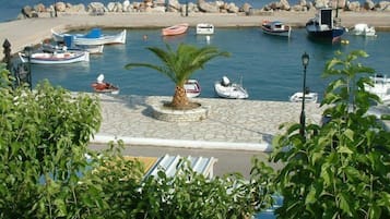 Beach/ocean view