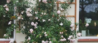 Toscana Restaurant And Bed & Breakfast