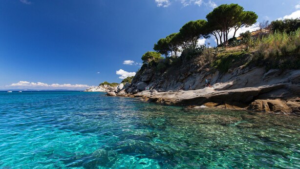 Un paysage côtier avec une eau turquoise claire, des falaises rocheuses et des arbres.