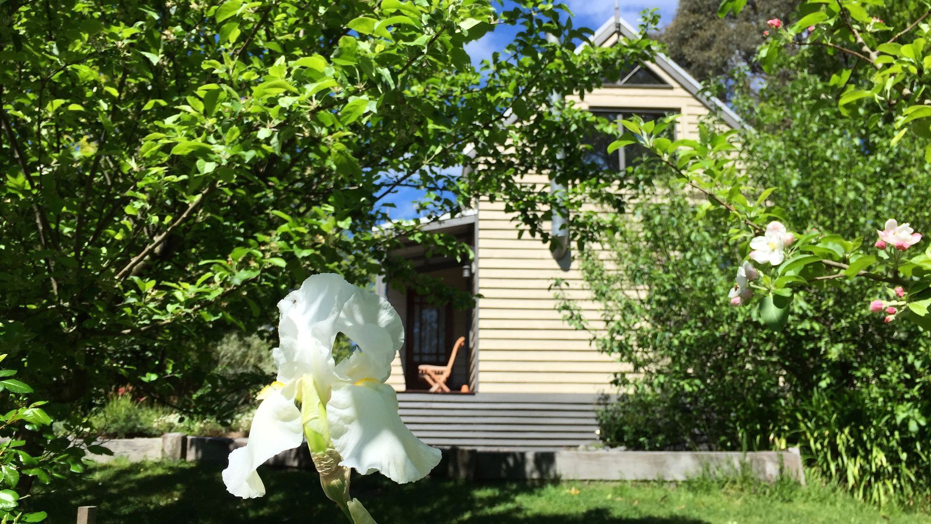 Brigadoon Cottages - Loft Cottage