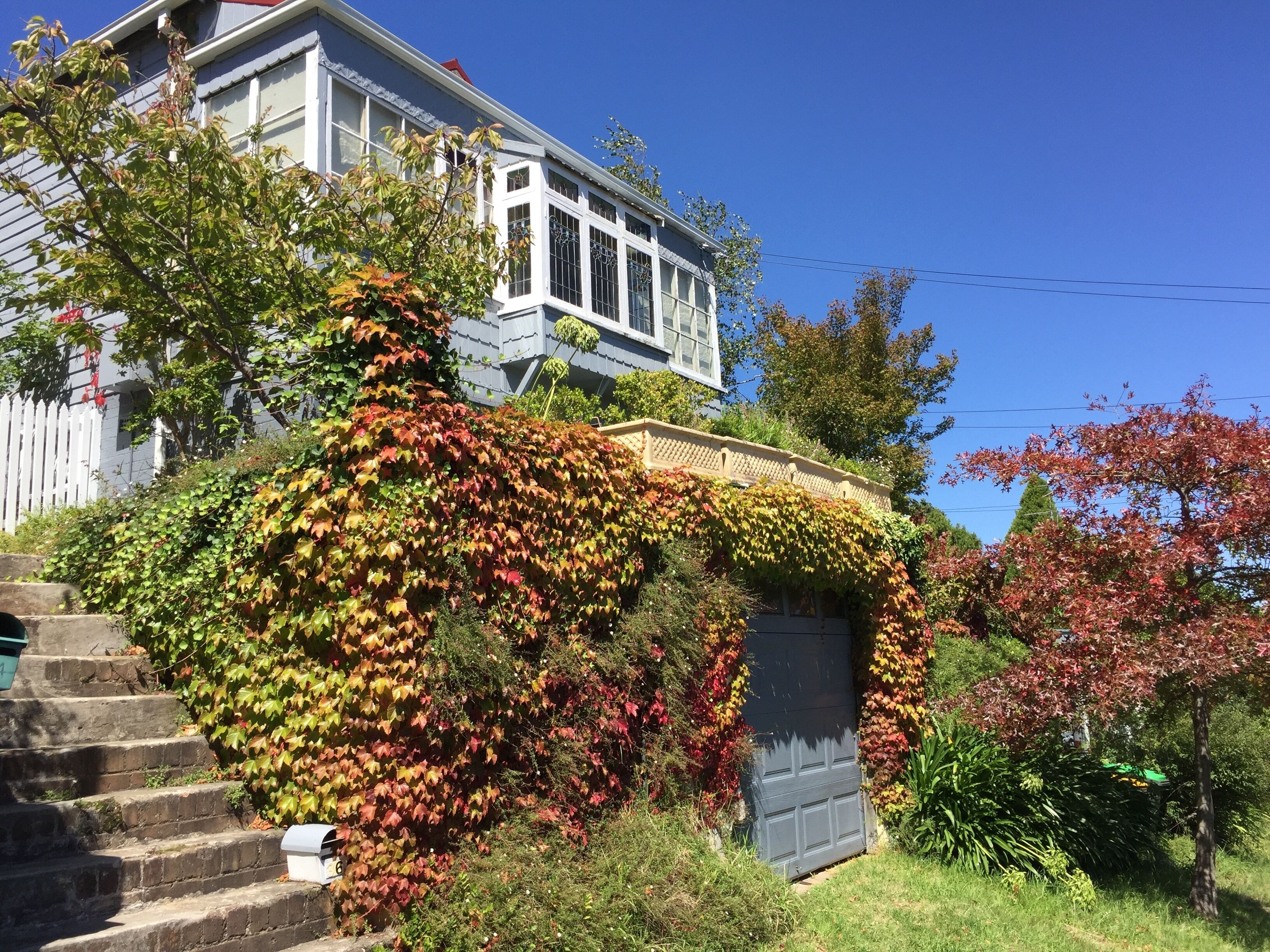 Charming 1910 cottage in Katoomba South