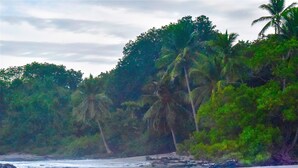 A beach with waves, a person sitting on the sand, and palm trees in the background. - Montezuma Heights "Geco" studio. In between ocean and the wild. Sleeps 2 (Montezuma)