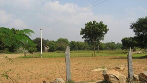 Paisagem rural com um campo de terra, árvores e um poste de eletricidade.