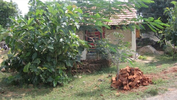 Um cenário rural com uma casa, uma árvore grande e uma pilha de tijolos.