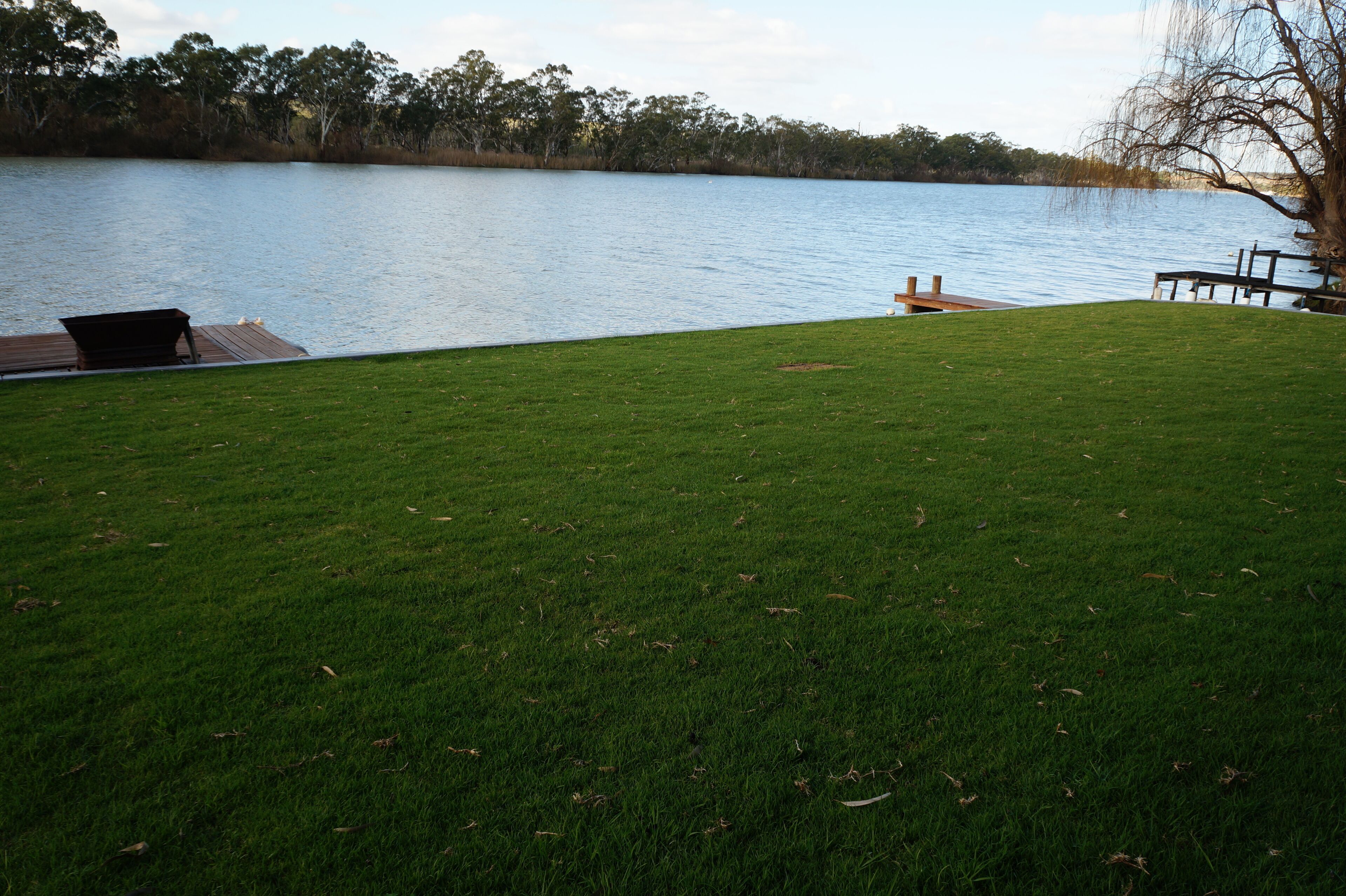 Younghusband Rivertime - Riverfront across the ferry from Mannum