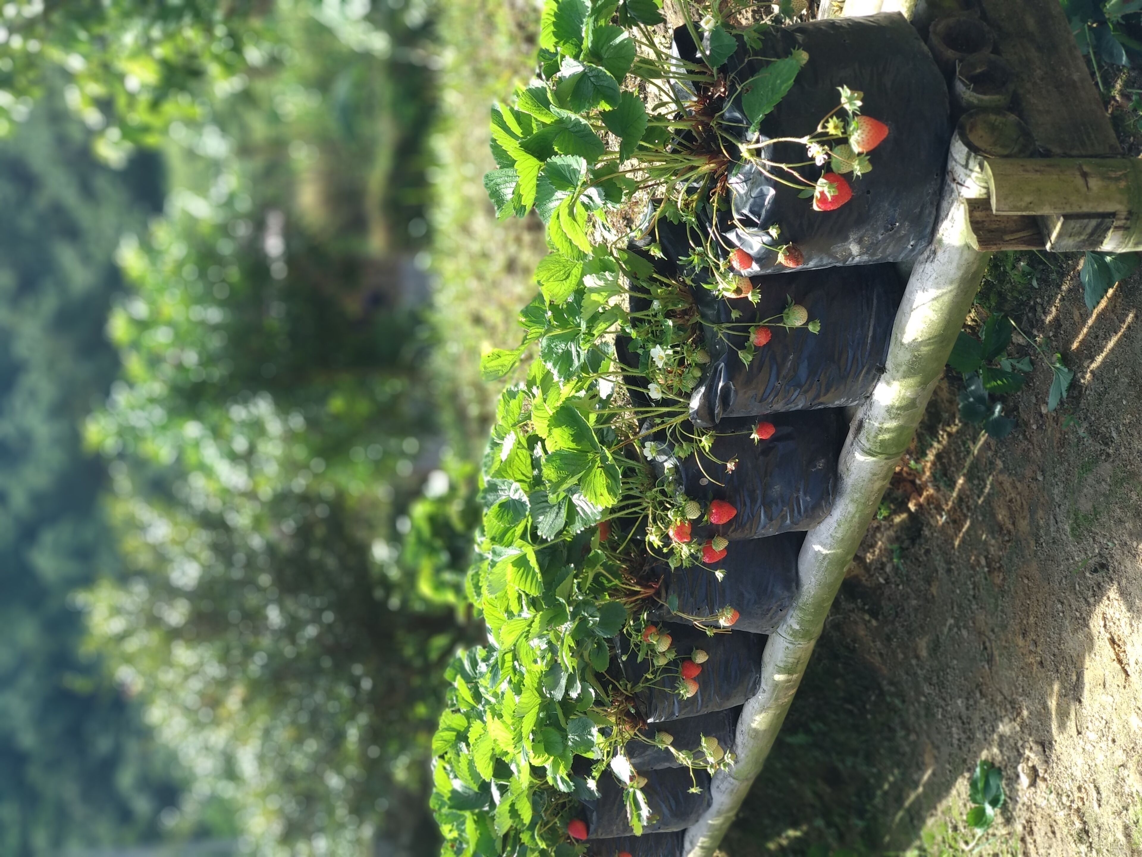 Beautiful Sanctuary a real Home Away, nestled next to the National Park.