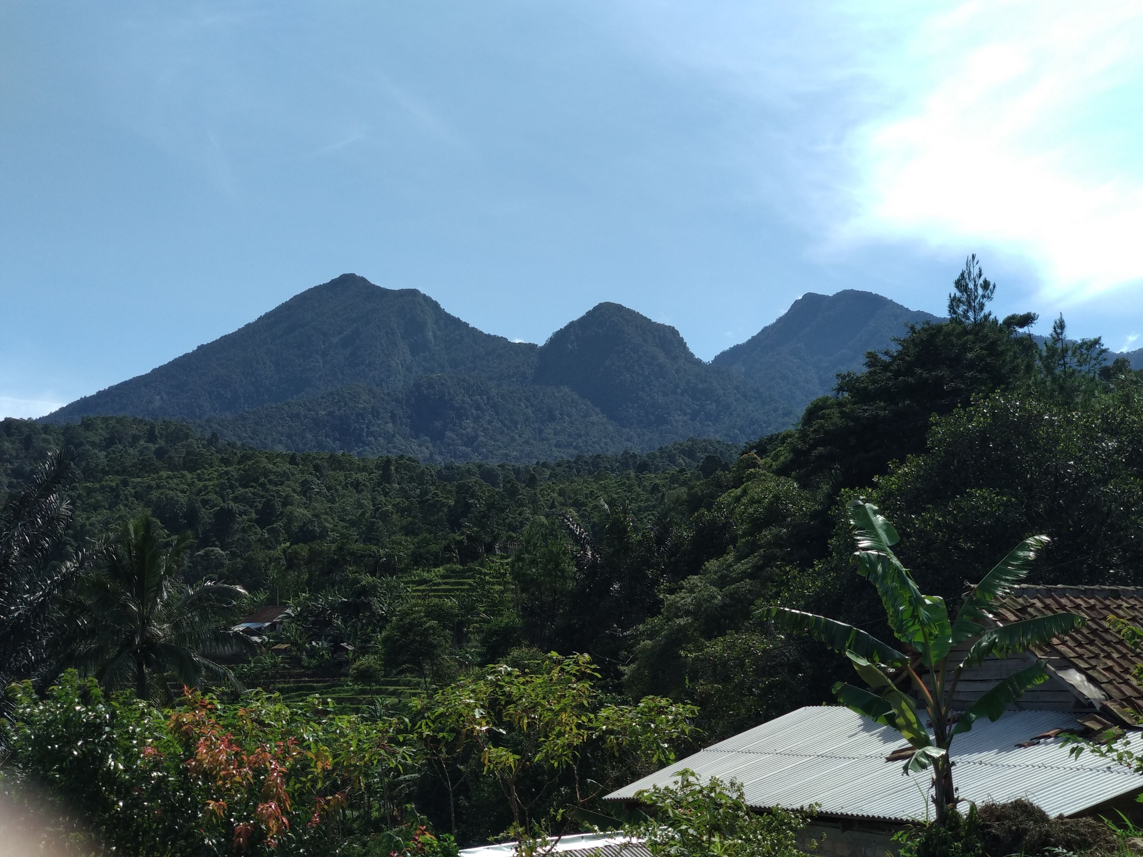 Beautiful Sanctuary a real Home Away, nestled next to the National Park.