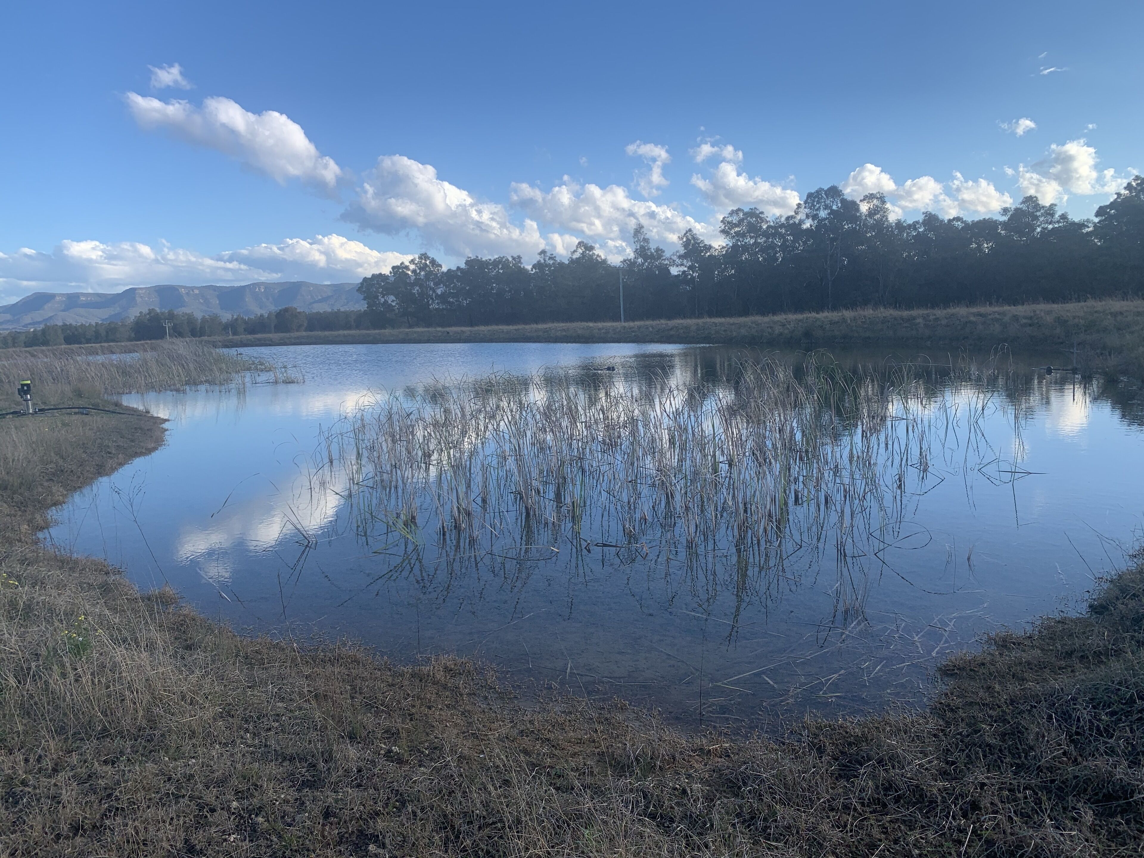 Nirvana Vista Estate — image 15