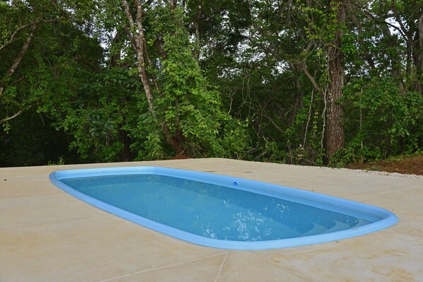 An outdoor swimming pool with a curved edge, surrounded by a concrete deck.