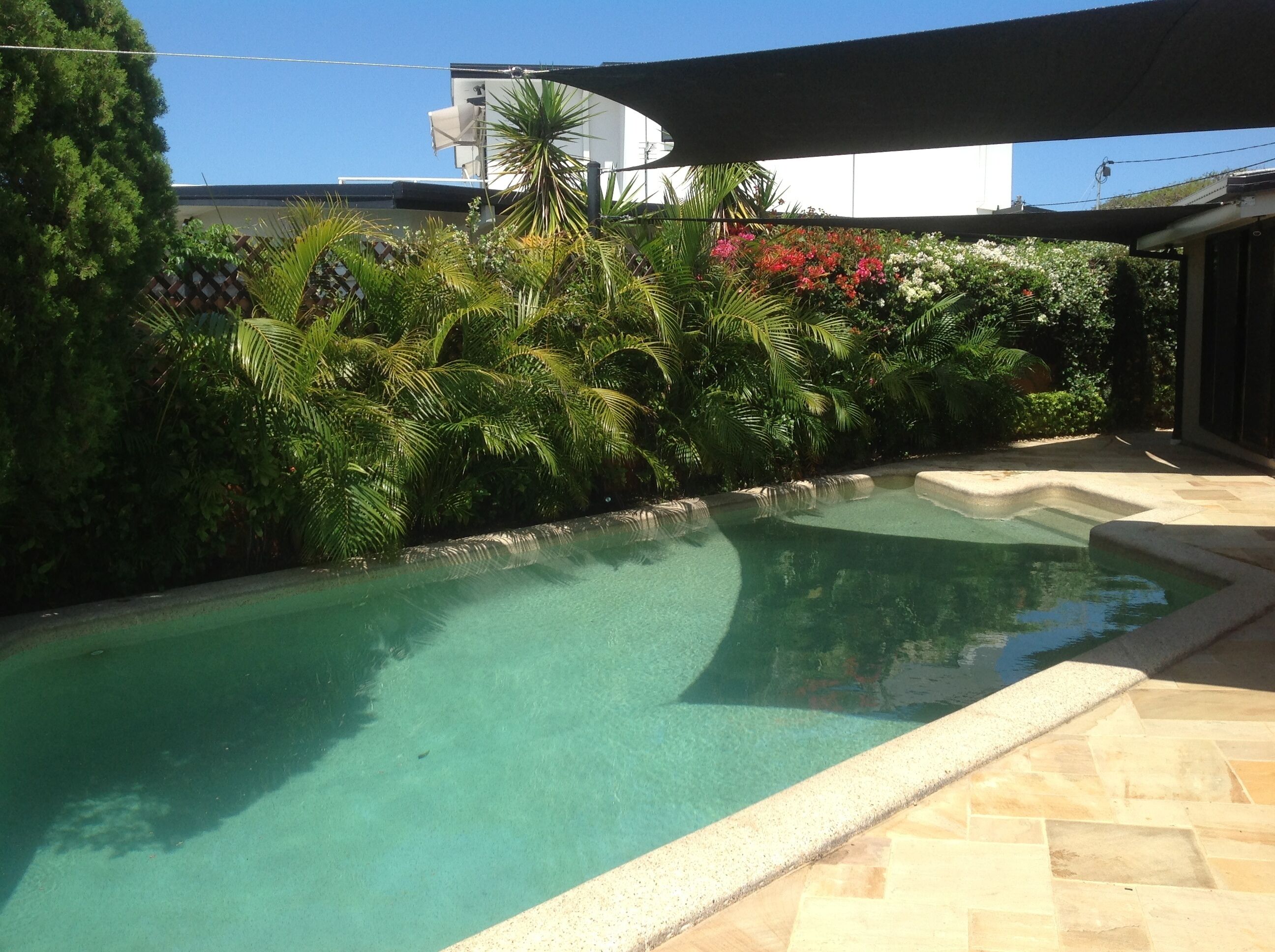 Special Luxury Suite