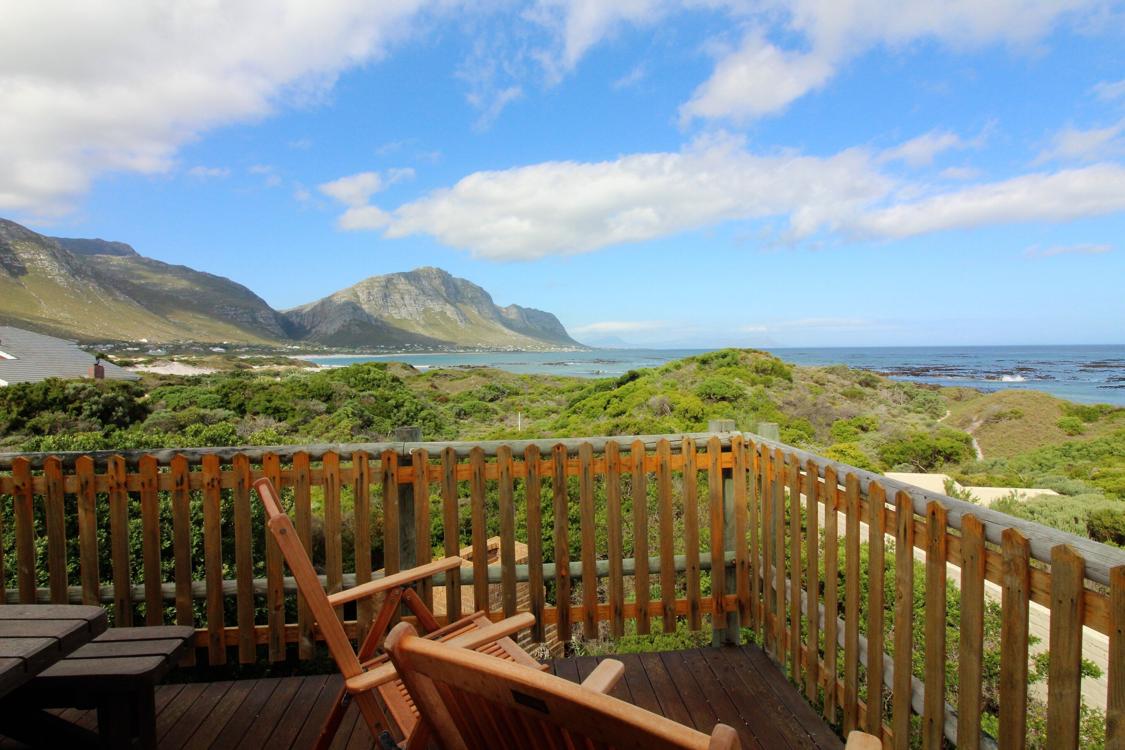 Oystercatcher in Betty's Bay