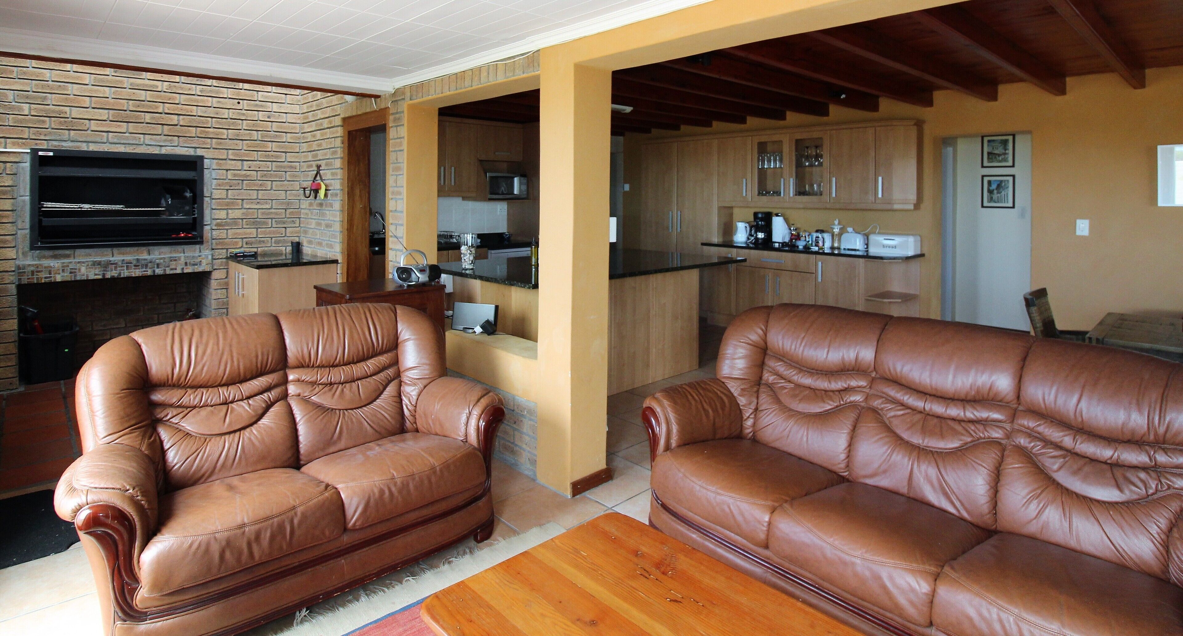 Oystercatcher in Betty's Bay