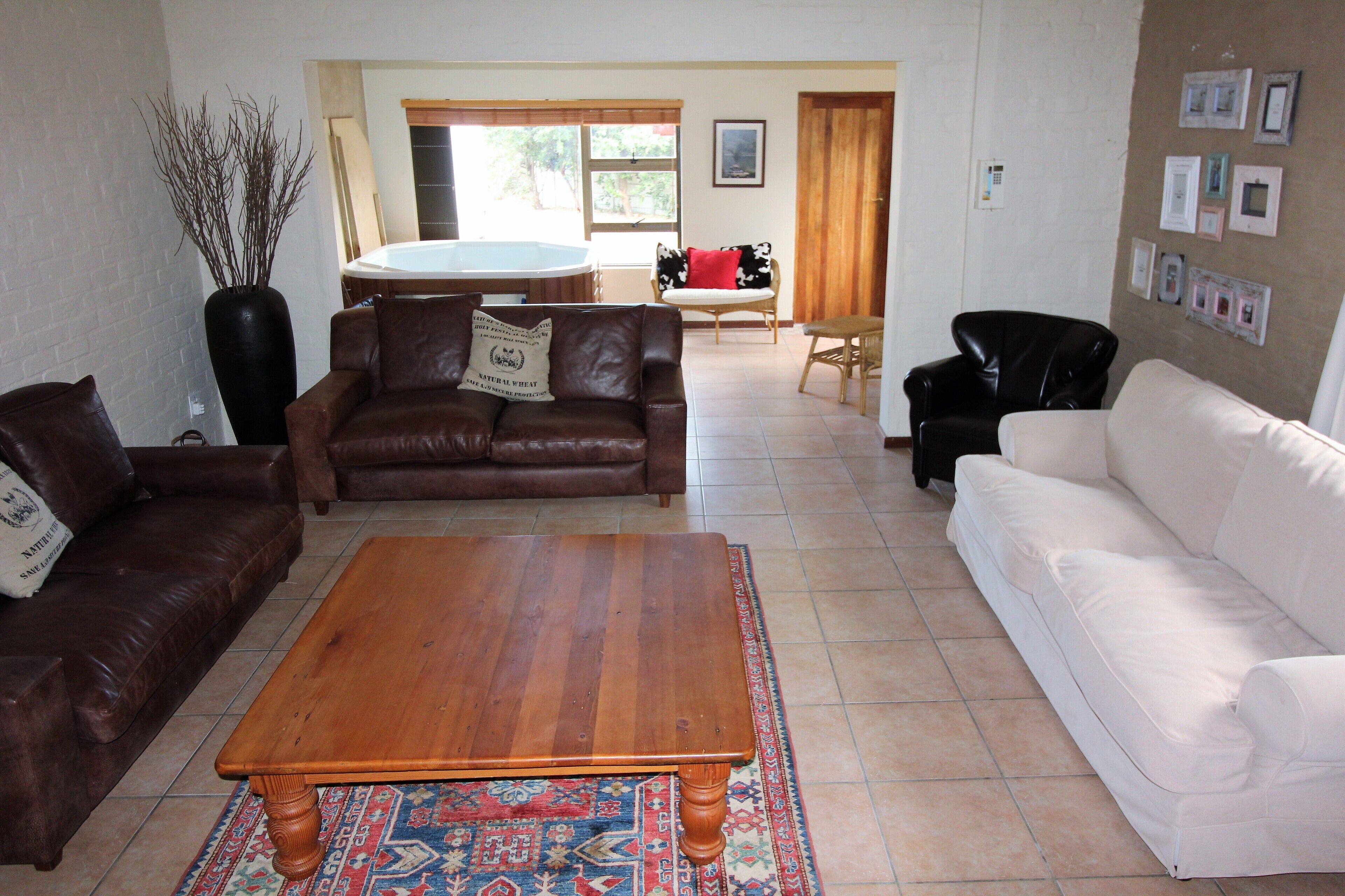 Oystercatcher in Betty's Bay