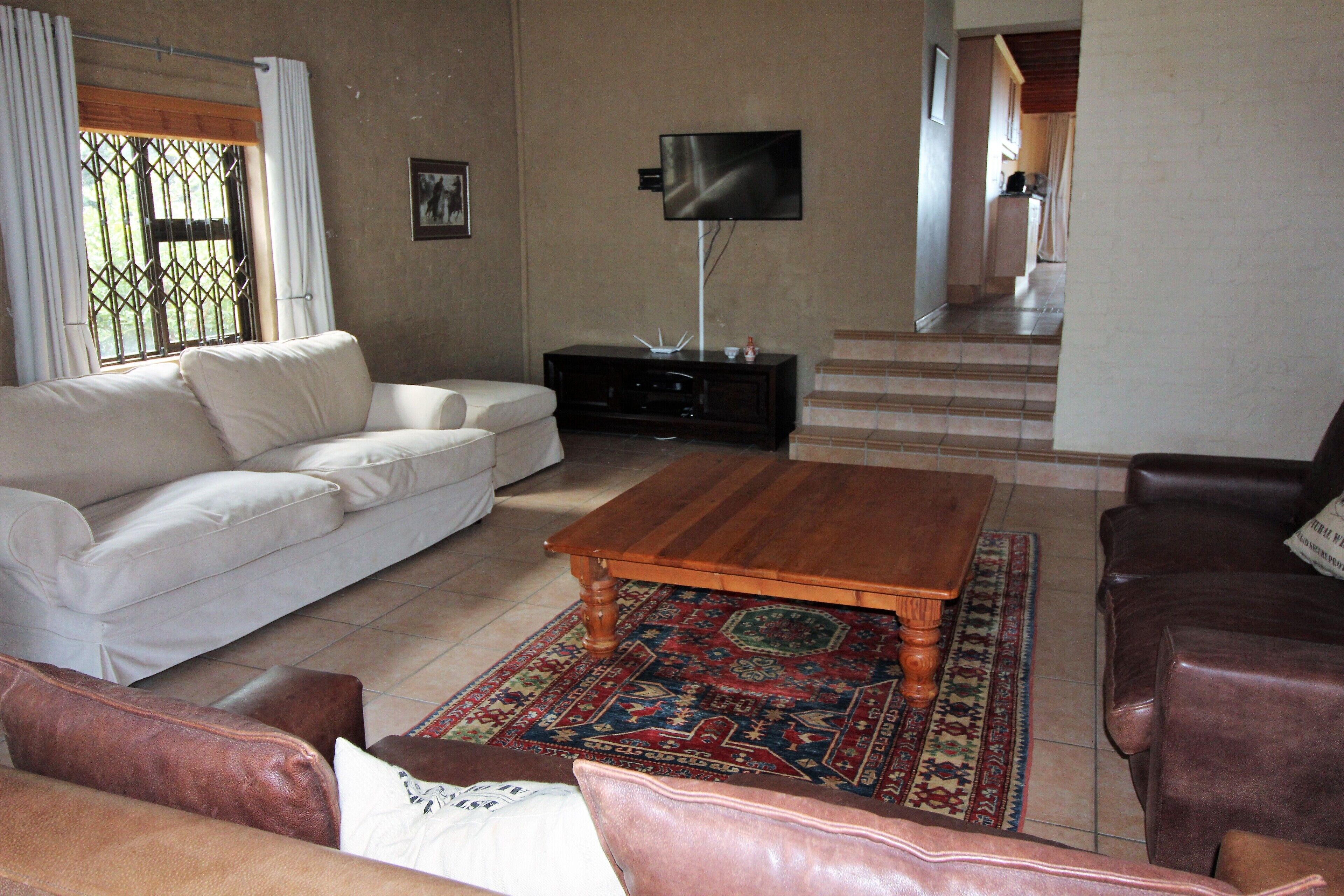 Oystercatcher in Betty's Bay