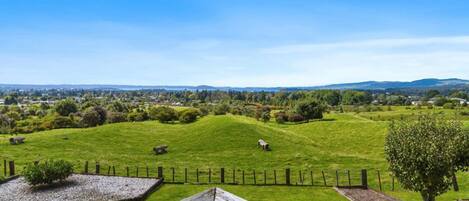 المنطقة المحيطة بالمنشأة