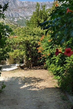 المنطقة المحيطة بالمنشأة