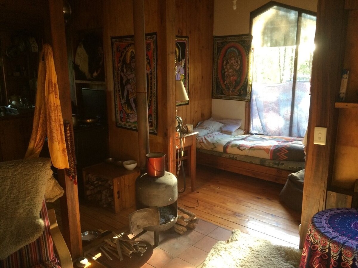 Bild für Gastgeberprofil