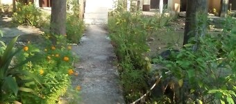 CORBETT TIGER RETREAT [ RIVER SIDE, MUSICAL PRESENCE OF RIVER, WILDLIFE, BIRDS] 