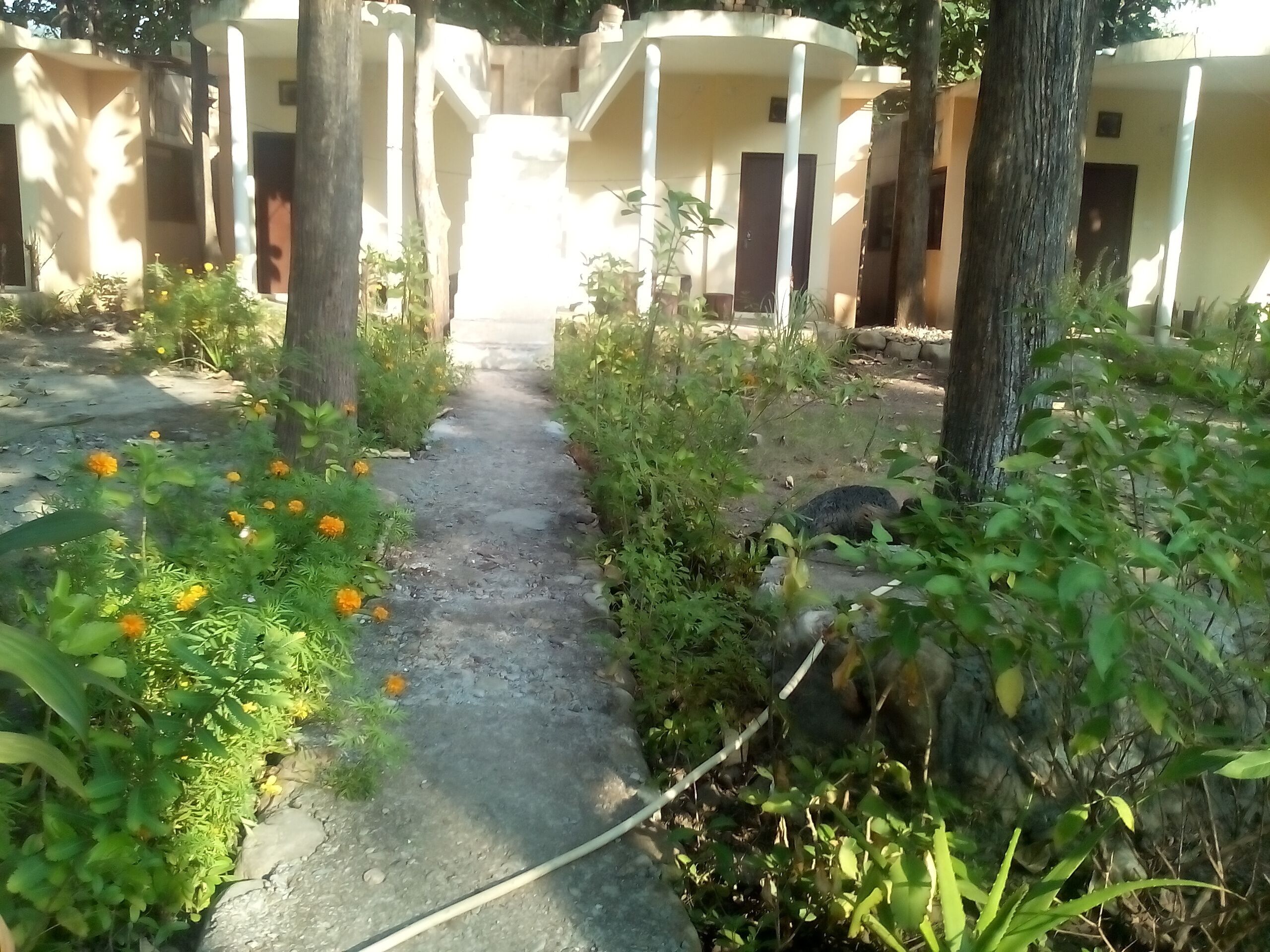 CORBETT TIGER RETREAT [ RIVER SIDE, MUSICAL PRESENCE OF RIVER, WILDLIFE, BIRDS] 