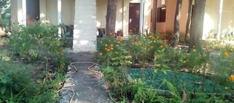 CORBETT TIGER RETREAT [ RIVER SIDE, MUSICAL PRESENCE OF RIVER, WILDLIFE, BIRDS] 