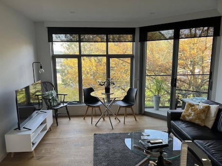 TV. One Bedroom Modern Furnished Apartment 203