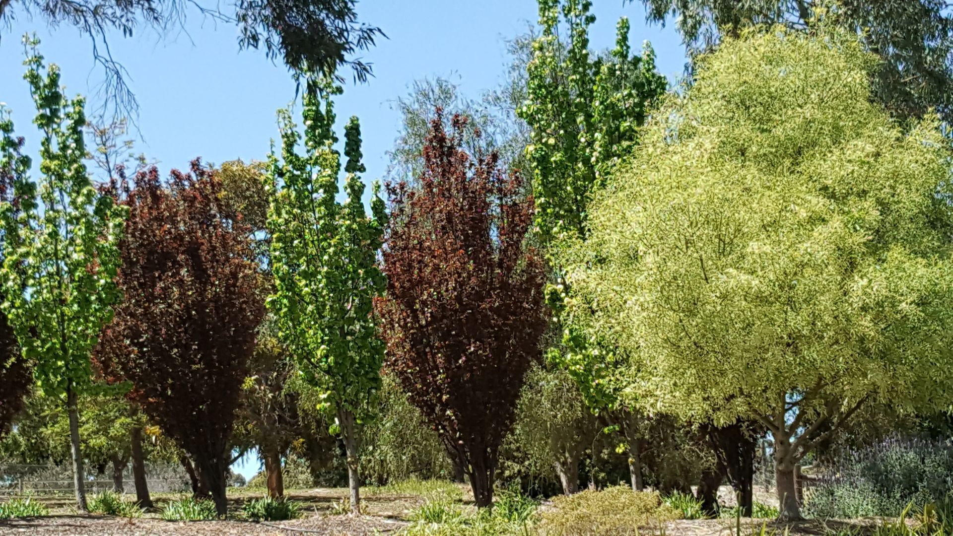 Equestrian Farm Stay — image 13