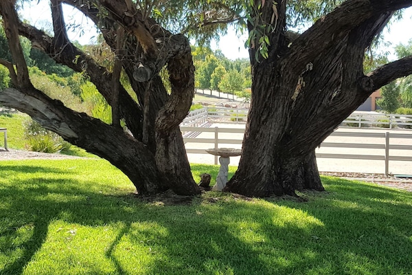 Enceinte de lâhĂ©bergement