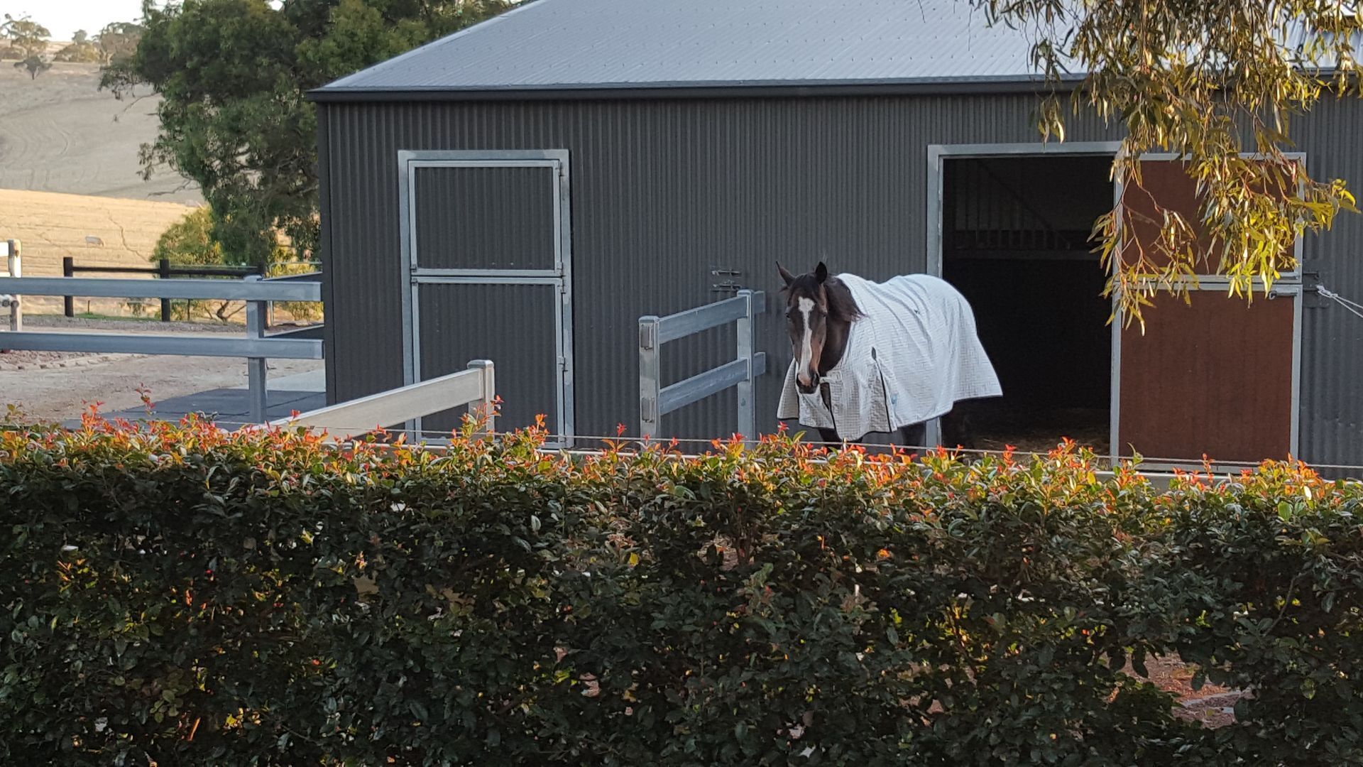 Equestrian Farm Stay — image 17