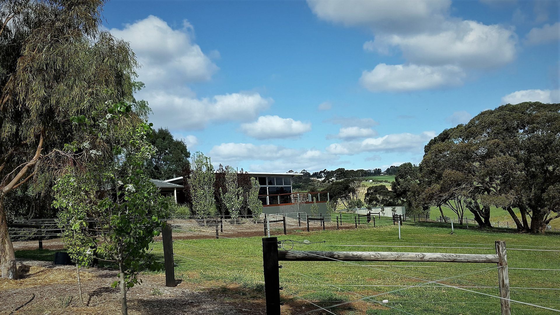 Equestrian Farm Stay — image 15