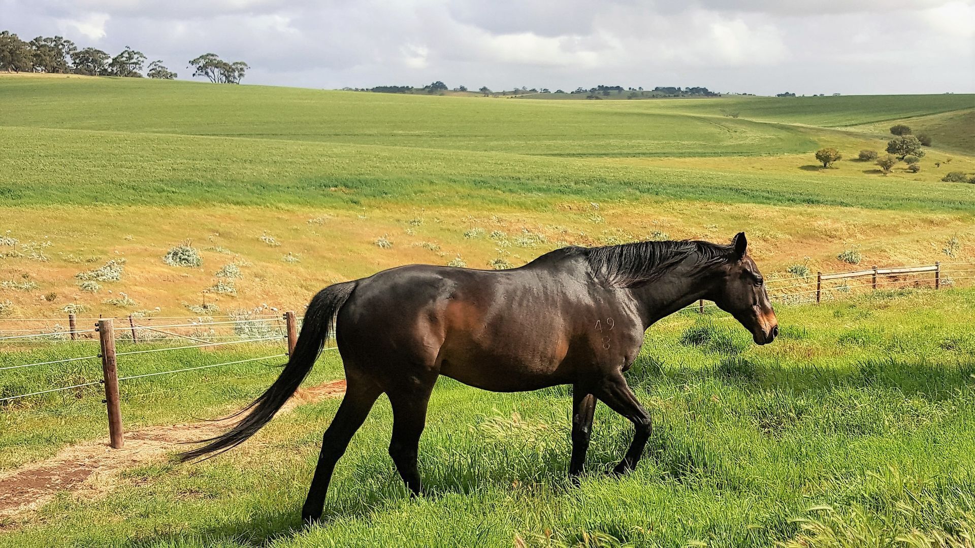 Equestrian Farm Stay — image 16