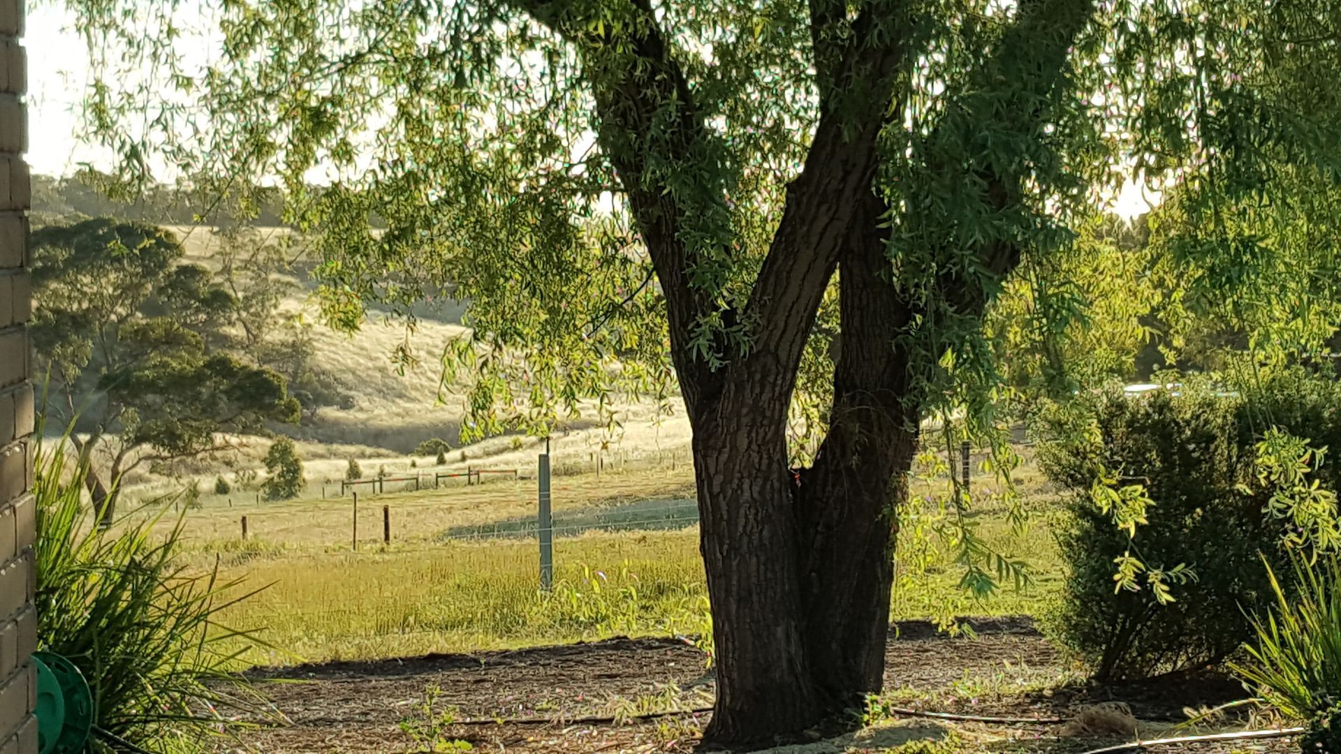 Equestrian Farm Stay — image 11