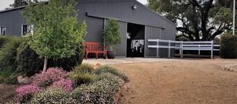 Equestrian Farm Stay