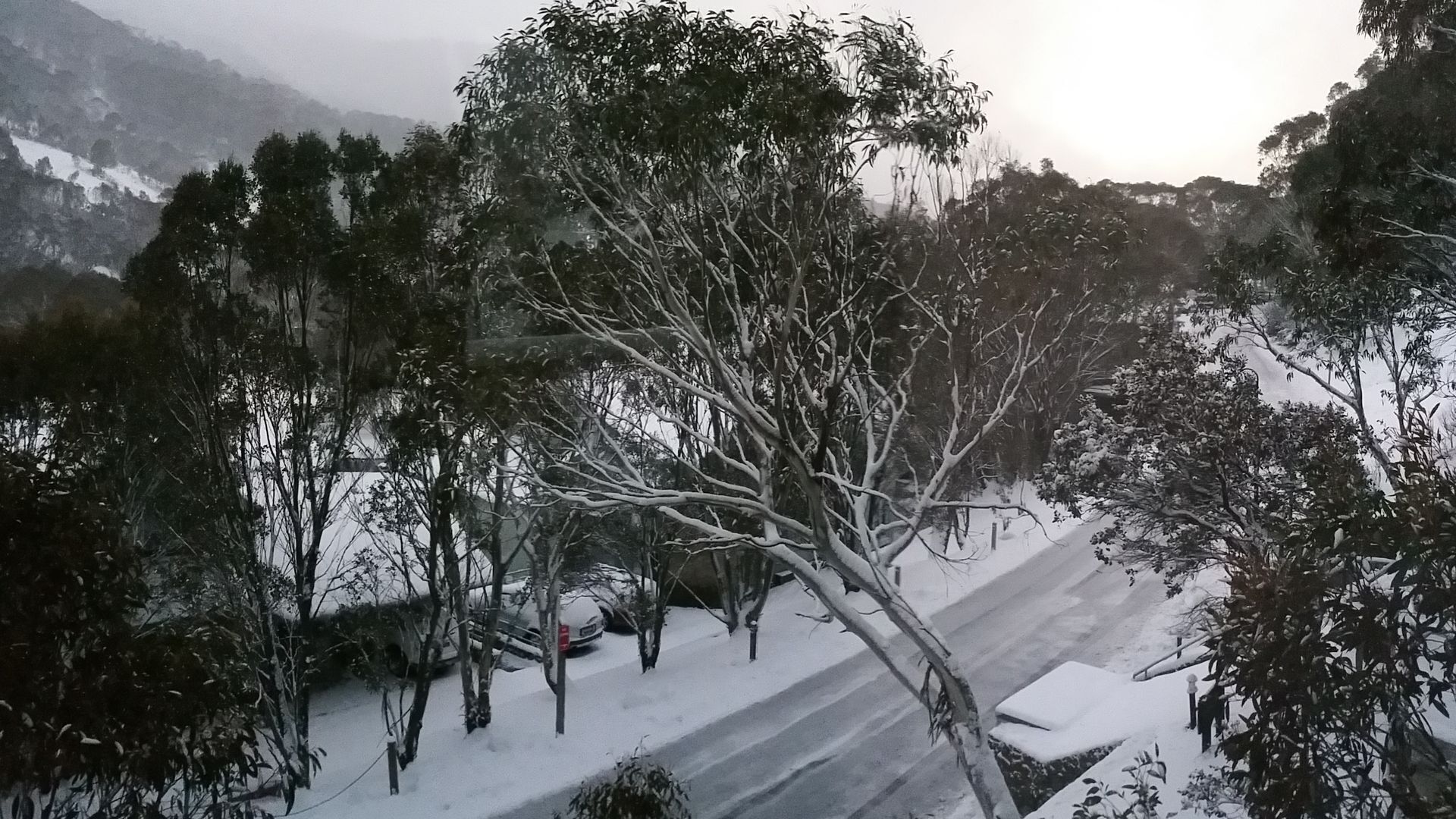 Riverside 41 Thredbo — image 4