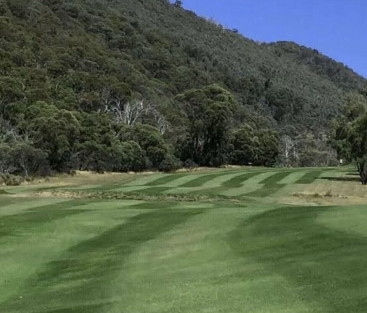 Riverside 41 Thredbo — image 25