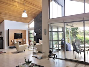Smart TV, fireplace, DVD player, music library
