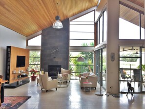 Smart TV, fireplace, DVD player, music library