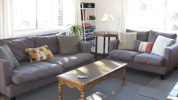 Télévision, cheminée, lecteur de DVD, livres