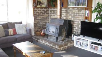 Télévision, cheminée, lecteur de DVD, livres