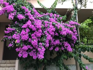 Detalle exterior