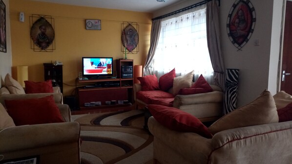 Smart TV, chimenea, Netflix y reproductor de DVD