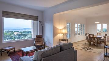 Smart TV, fireplace, books, music library