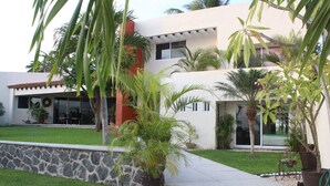 A modern house with a stone wall, a grassy lawn, and several potted plants.