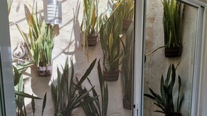 A sliding glass door leading to a balcony with various potted plants.