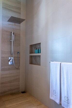 Bathtub, hair dryer, bidet, towels